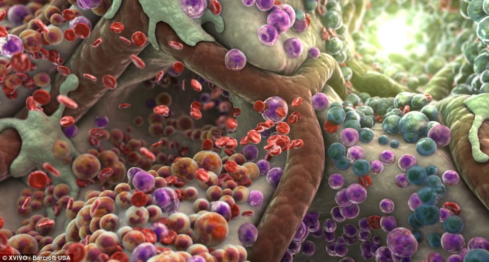 Humans as cells in a body