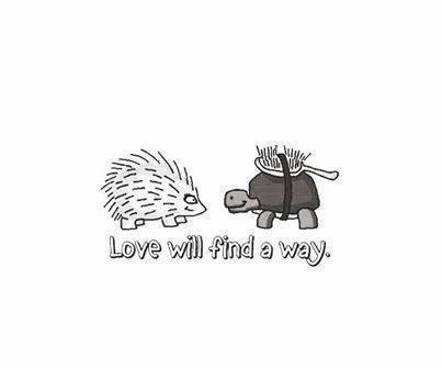 Love will find a way