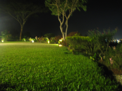 The Malasag House garden by evening
